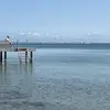 remi_hol - @remi_hol - TikTok