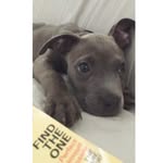 Remi Jackson - @littleremigirl - Instagram