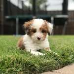 Remi Ramos - @the_real_remi_ramos - Instagram
