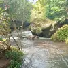 remiramos - @remiramos51 - TikTok