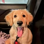 Remi!! - @_remi_ray - Instagram