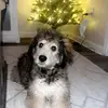 remi ray - @remi.ray0 - TikTok