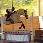 Remi smith - @remi__eq - Instagram
