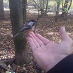 Rémi Tremblay - @remi.tremblay.96 - Instagram