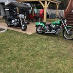Remi Tremblay - @remitremblay724 - Instagram