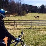 Rémi Tremblay - @remi.tremblay.564 - Instagram