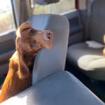 Remi Walker - @remi_theredsetter - Instagram