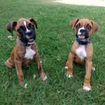 Walker Remi - @walker_and_remi - Instagram