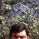 Remigio Gomez - @remigio.gomez.75 - Instagram