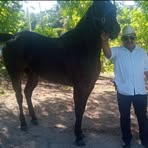 Remigio Gomez - Facebook