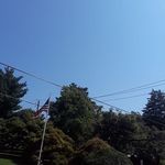 Remigio Perez - @remigio.perez.9022 - Instagram