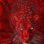 Remigio Perez - @remigioperez67 - Instagram