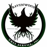 Remington Lee - @ravenwood_tree - Instagram