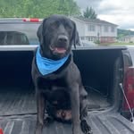 Remington Lee - @remington_lee_ - Instagram