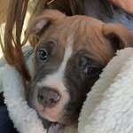remington lee - @remi.lee_ - Instagram