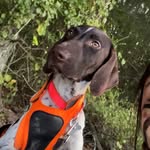 Remington Lee - @remington.lee22 - Instagram