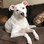 Remington Lee Martin - @remi_lee_martin - Instagram