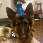 Remington Lee “Remi” - @roboremington - Instagram
