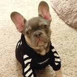 Remington Steele - @remington_steeleyogirl - Instagram