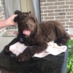 Remington Steele Walker - @remyton2020 - Instagram
