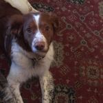 Remington Walker - @remdoggmillionaire_ - Instagram