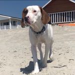 Remington Walker - @remi.walker700 - Instagram