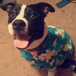 Remington walker - @remington_13 - Instagram
