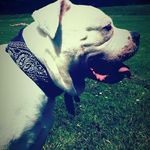 Remus - @iamremusjones - Instagram
