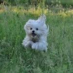 @remus.radulescu - Instagram