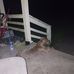 Recus Smith - Facebook