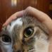 Remus Smith - Facebook