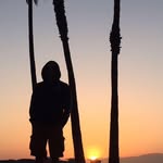 Remus Topa - @remus.topa - Instagram