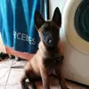 Remus Topa - @remustopa0 - TikTok