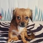 Remus Varga - @remus.varga.731 - Instagram