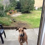Remus Wright - Facebook