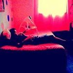 Remy Castro - @remy962 - Instagram