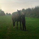 Remy Marechal - @marechalremy - Instagram