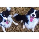Remy & Maya - @remyandmaya - Instagram