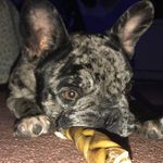 Remy may the squishy - @remy._.may - Instagram