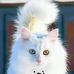 remy may way - Facebook
