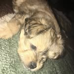 Remy Walker - @_remywalker - Instagram