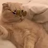 Remy_zero - @remy_zero - TikTok