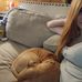 Ren Ramsey - Facebook
