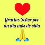 Nelson Guzman - @rena.carter.3348 - Instagram