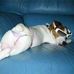 Renae Curtis - Facebook