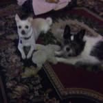Jeanette Rena Dayton - @jenrena68 - Instagram