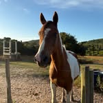 @renadoss2 - Instagram