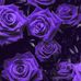 Rena Gilbert - Facebook