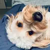 Renaehand - @hrhand - TikTok