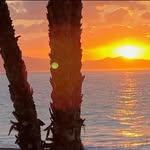 Rene Higgins - @renehiggins1972 - Instagram